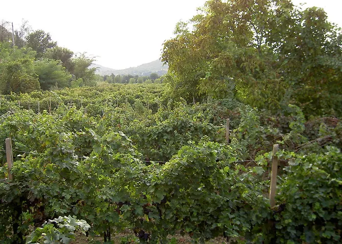 Monteortone